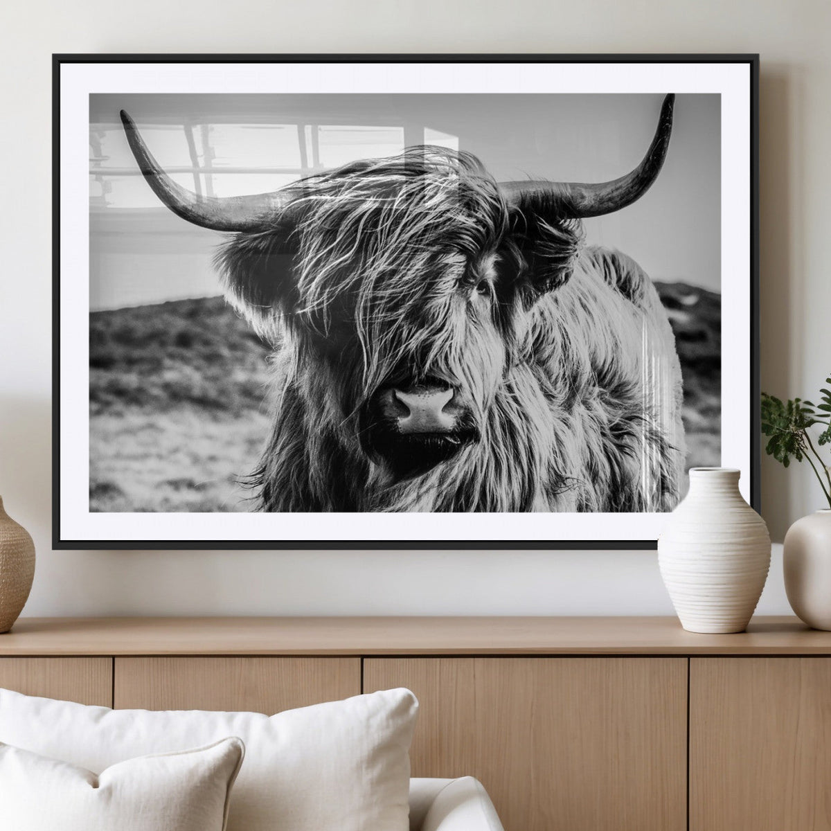 Black and White Scottish Cow Canvas Wall Art Highland Cattle