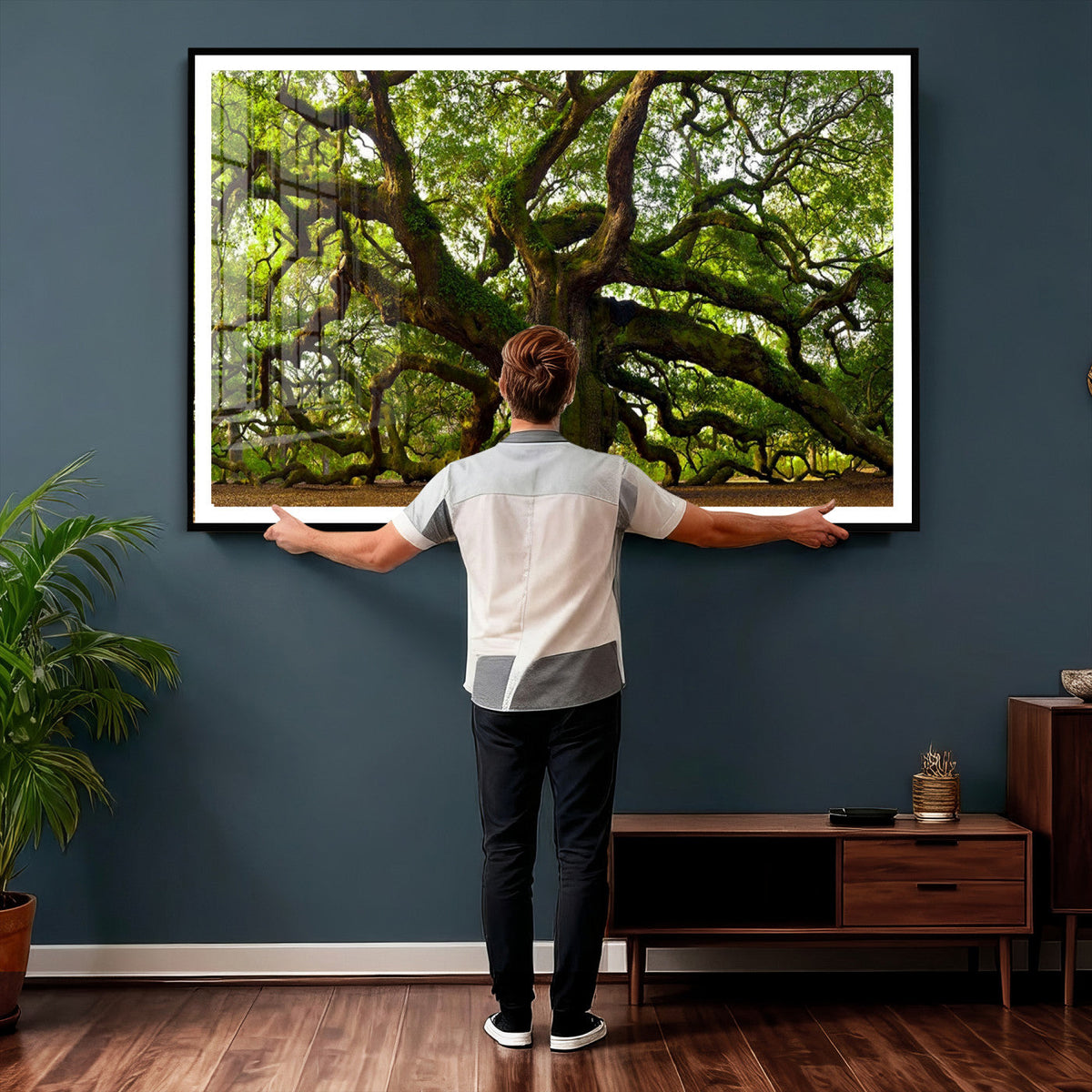 Angel Oak Tree Wall Art Canvas Print | Forest Tree Nature