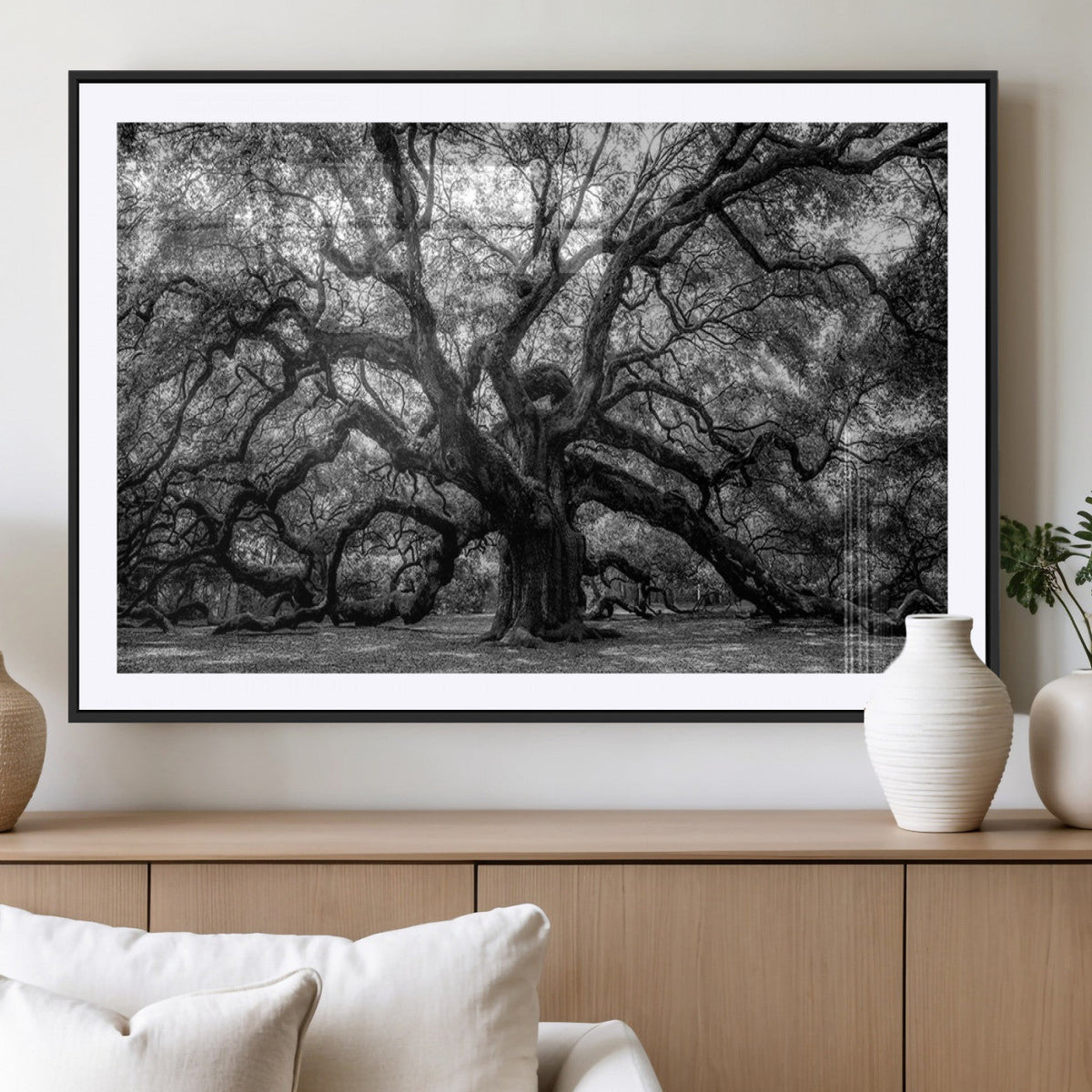 Black and White Old Angel Oak Tree Wall Art Canvas Print