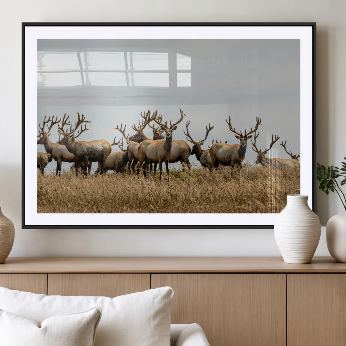 Elk Herd Wall Art Canvas Print – Framed Wildlife Photography