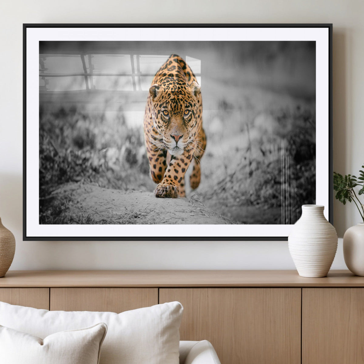 Jaguar Wall Art Canvas Print - Majestic Big Cat in Focused