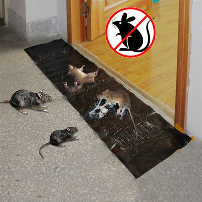 Sticky Mouse Glue Trap Board – Extra Large Non-Toxic Rat Glue Trap