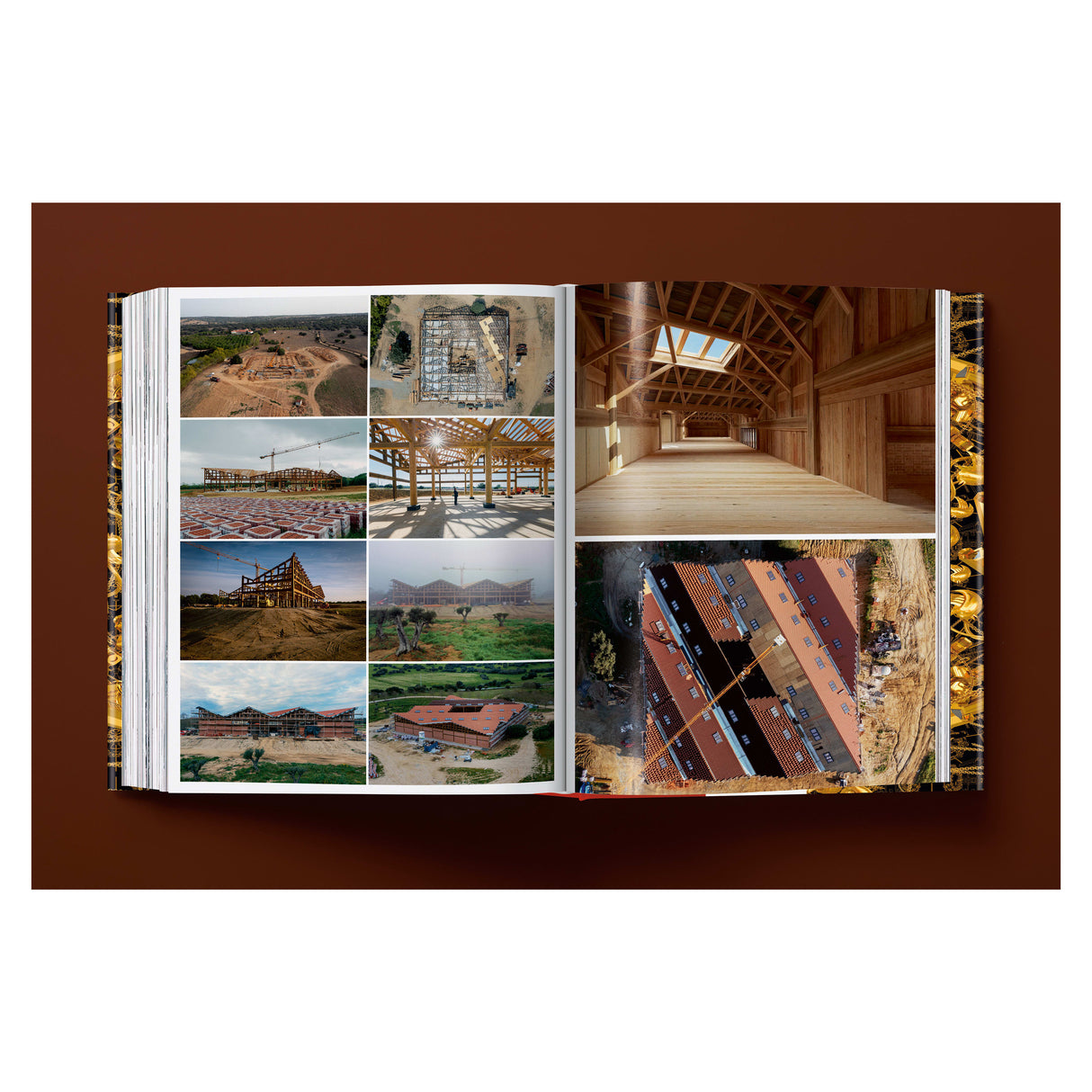 Ai Weiwei. Updated Edition (German, French, English)