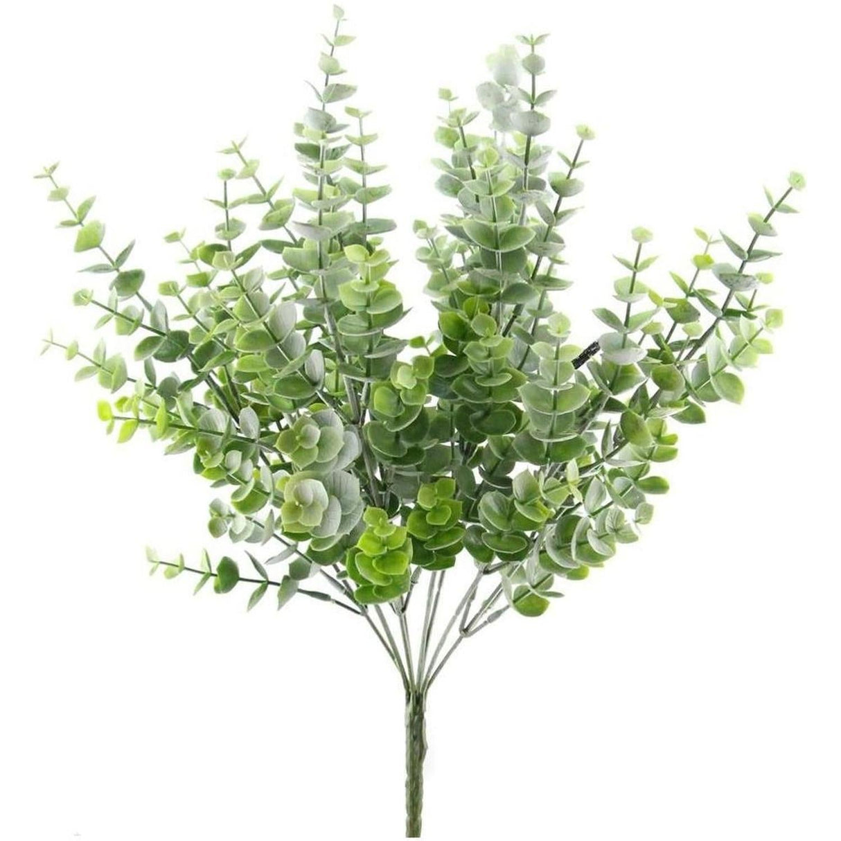 16.5" Eucalyptus Bush