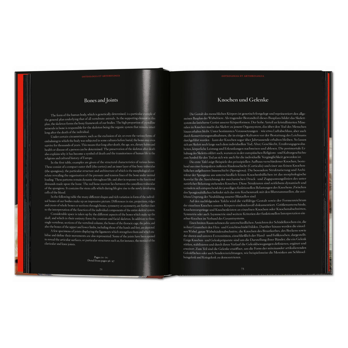 Anatomical Waxes. 45th Ed. (German, French, English)