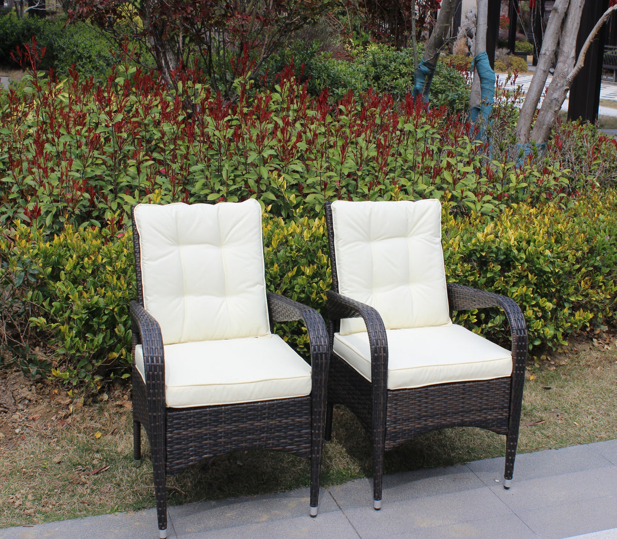 2-Piece Liberatore Dining Chairs with Beige Cushions