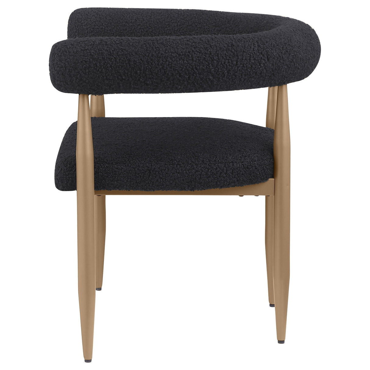 Crofton - Upholstered Dining Arm Chair (Set of 2) - Black