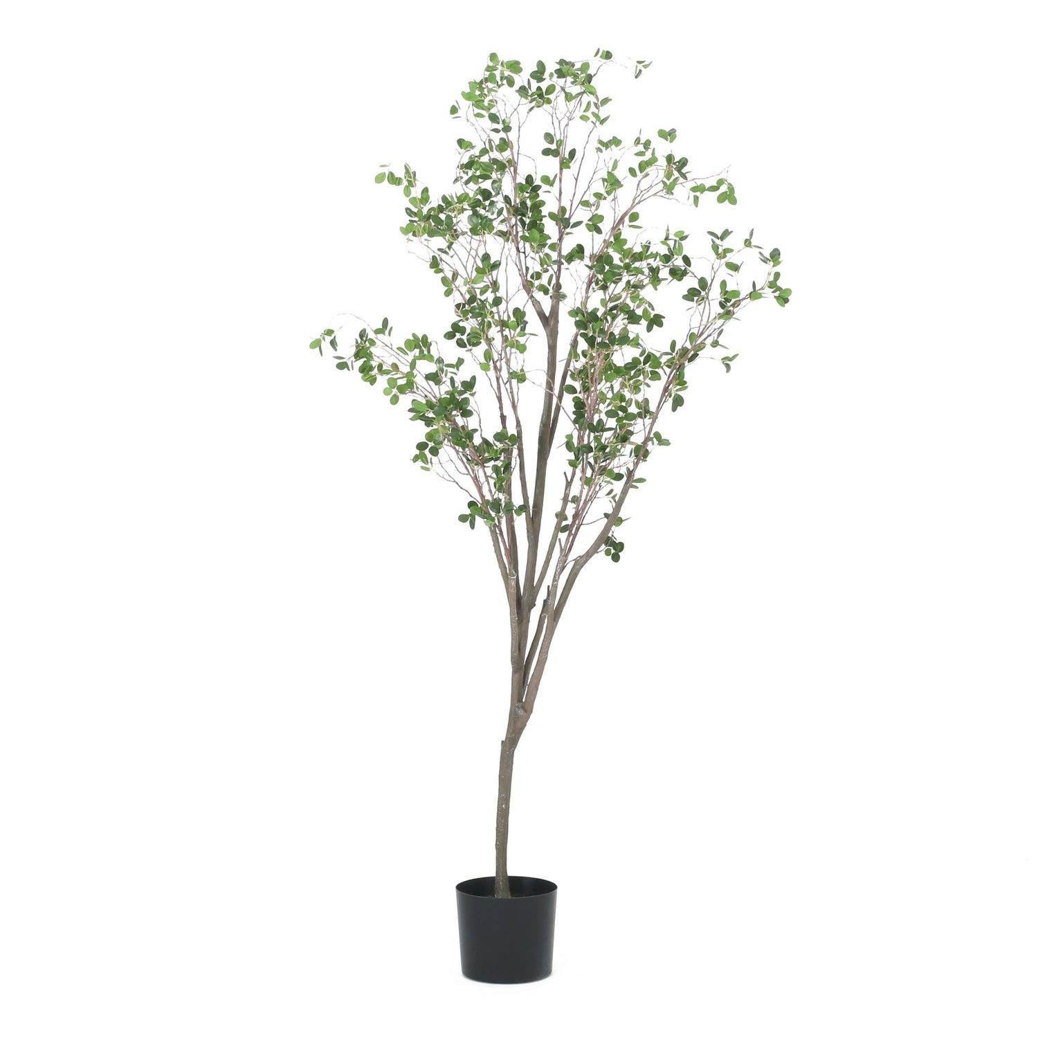 180CM ARTIFICIAL MILAN LEAF BONSAI - Tuesday Morning - Faux Trees