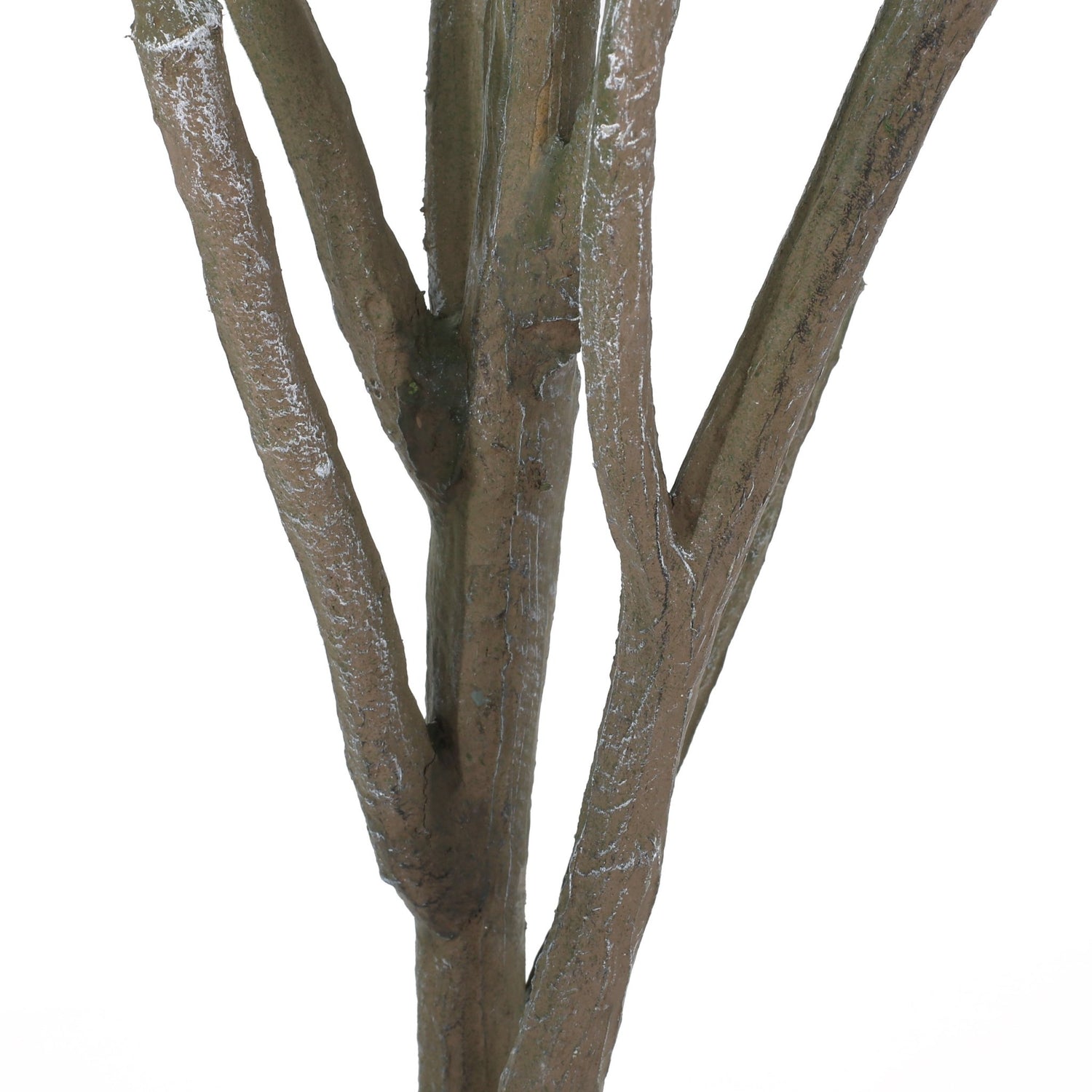 180CM ARTIFICIAL MILAN LEAF BONSAI - Tuesday Morning - Faux Trees