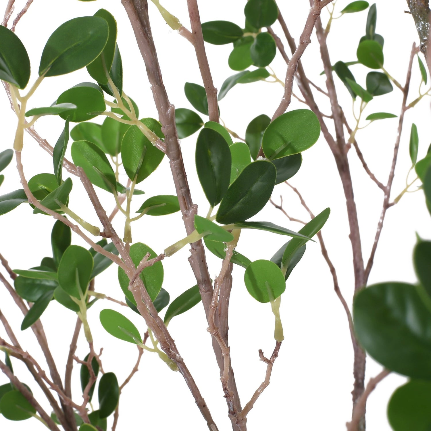 180CM ARTIFICIAL MILAN LEAF BONSAI - Tuesday Morning - Faux Trees