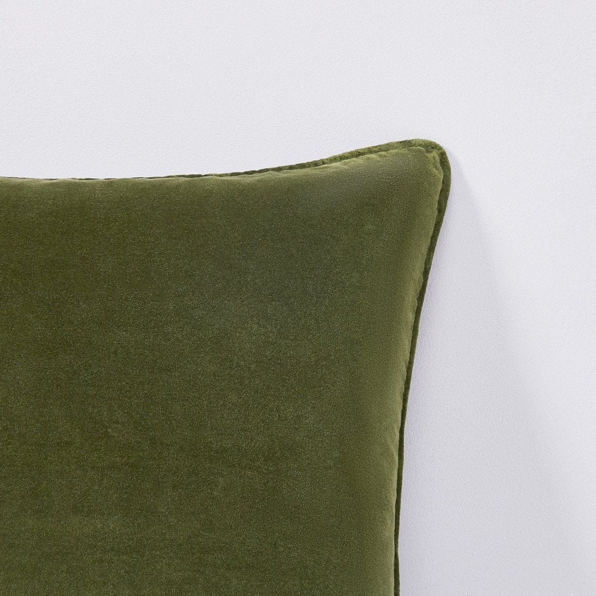 Terran Velvet Decorative Pillow Cover