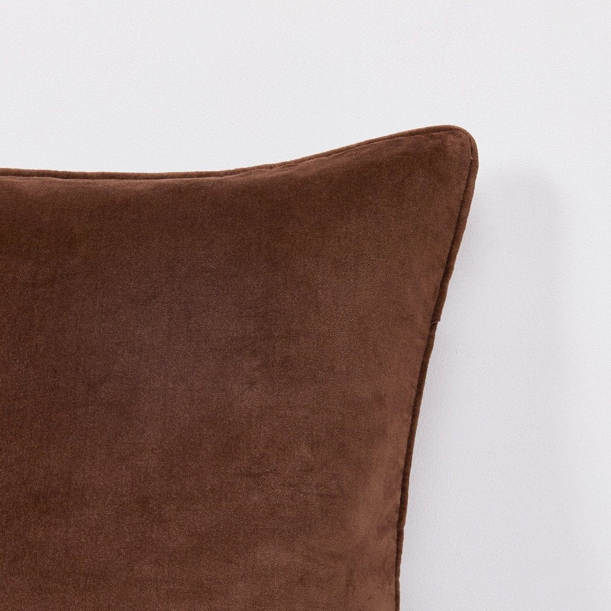 Terran Velvet Decorative Pillow Cover