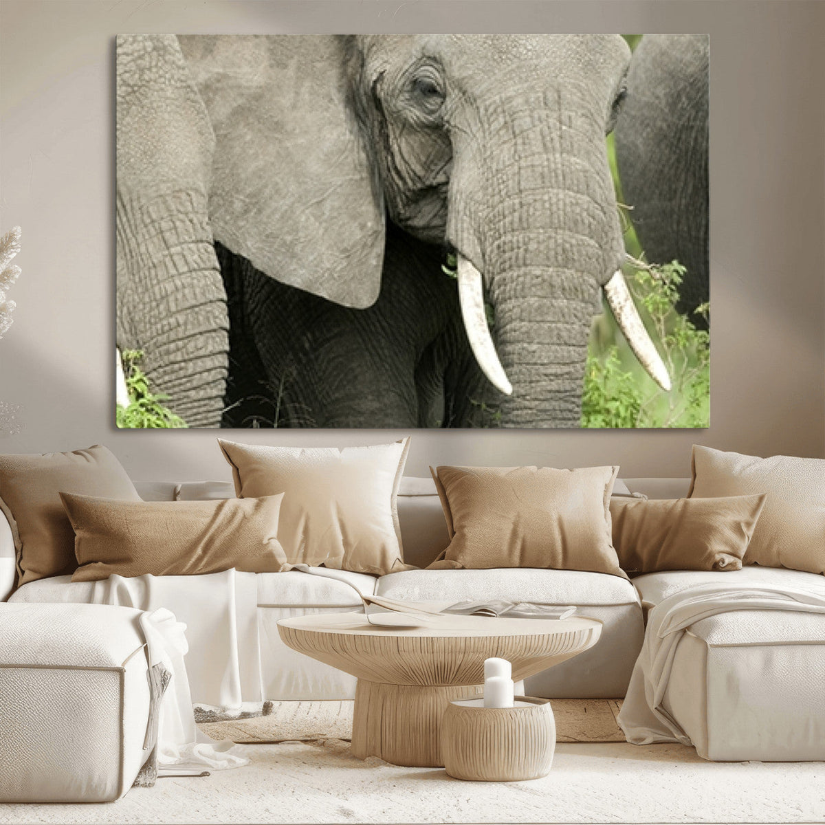 Wild Elephant Wall Art Canvas Print