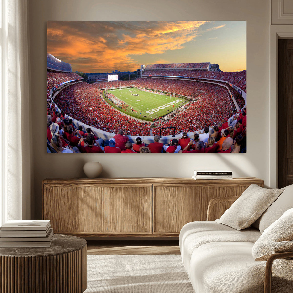 Dooley Stadium Wall Art, Sports Arena Canvas Print, Dooley