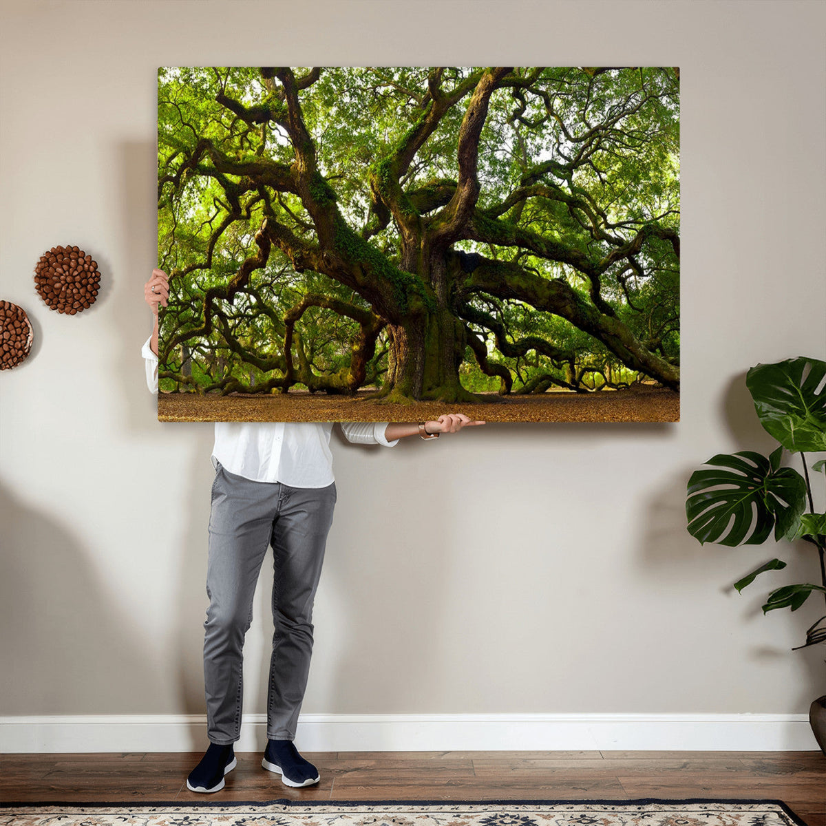 Angel Oak Tree Wall Art Canvas Print | Forest Tree Nature