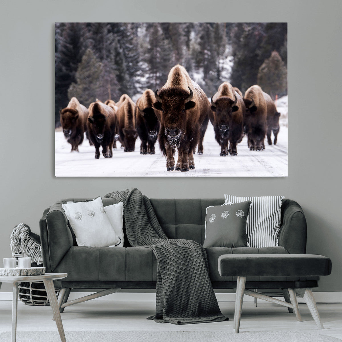 Bison Wall Art Canvas Print- Bison Herd Canvas Wall Art –