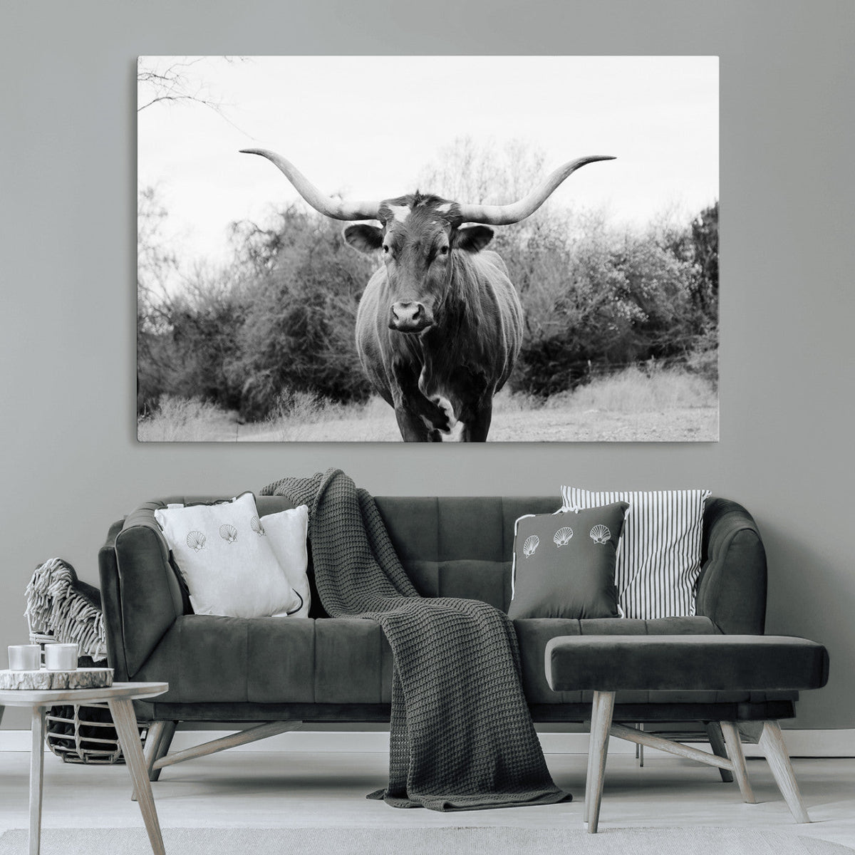 Longhorn Photography Wall Art Canvas Print – Framed Western