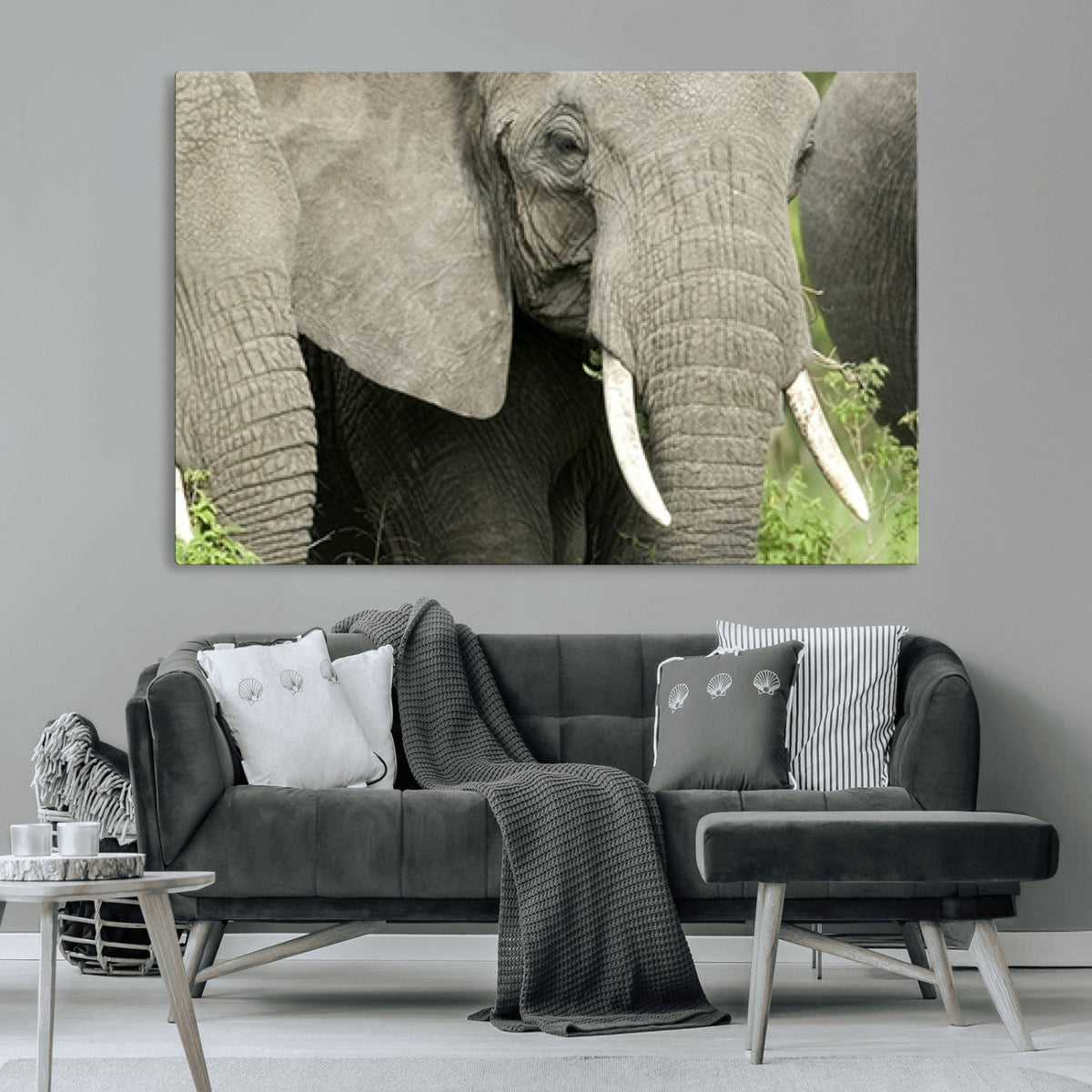 Wild Elephant Wall Art Canvas Print