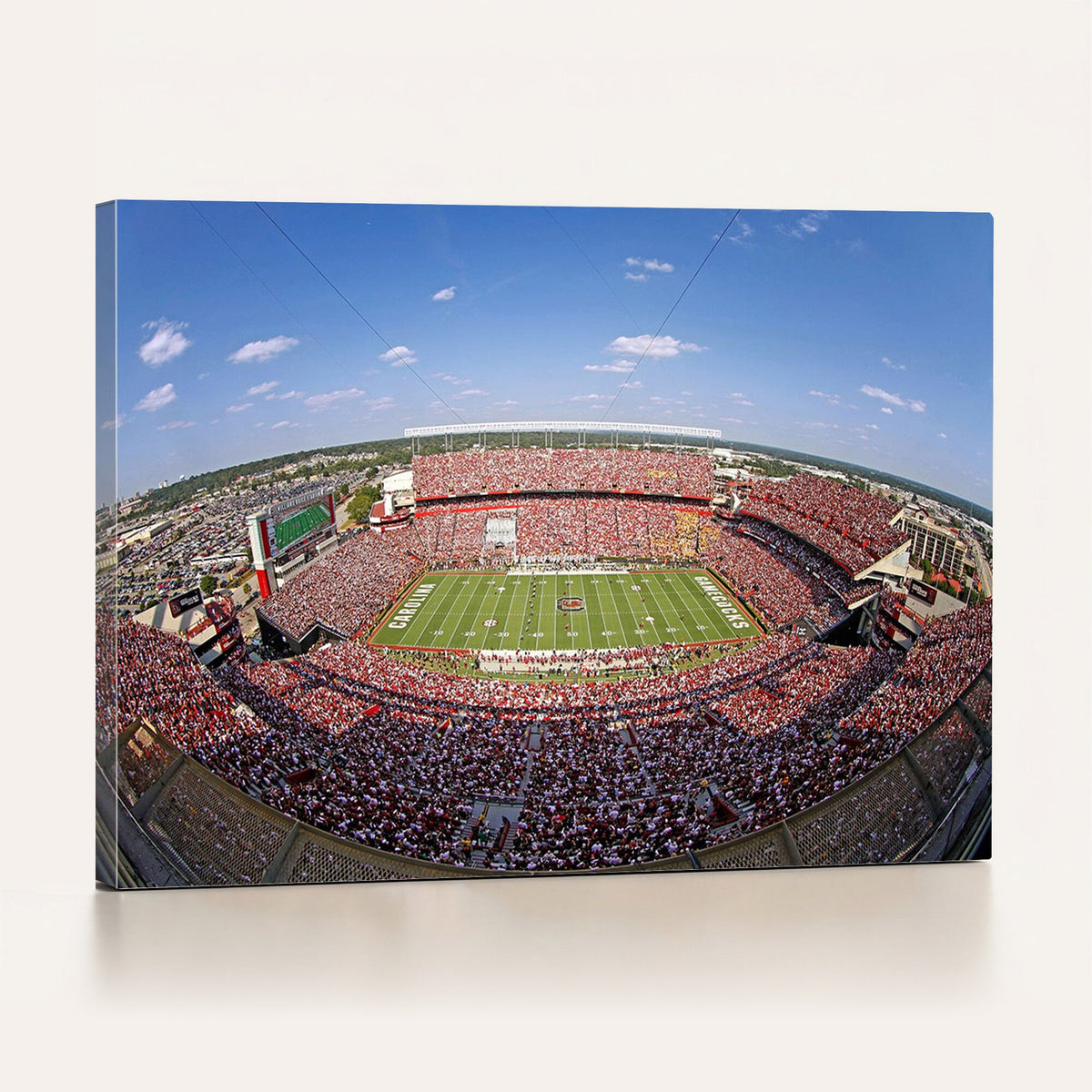 William Brice Stadium Wall Art Canvas Print – Stadium Crowd