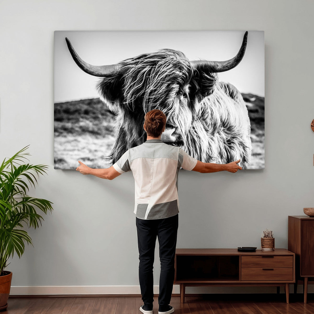 Black and White Scottish Cow Canvas Wall Art Highland Cattle