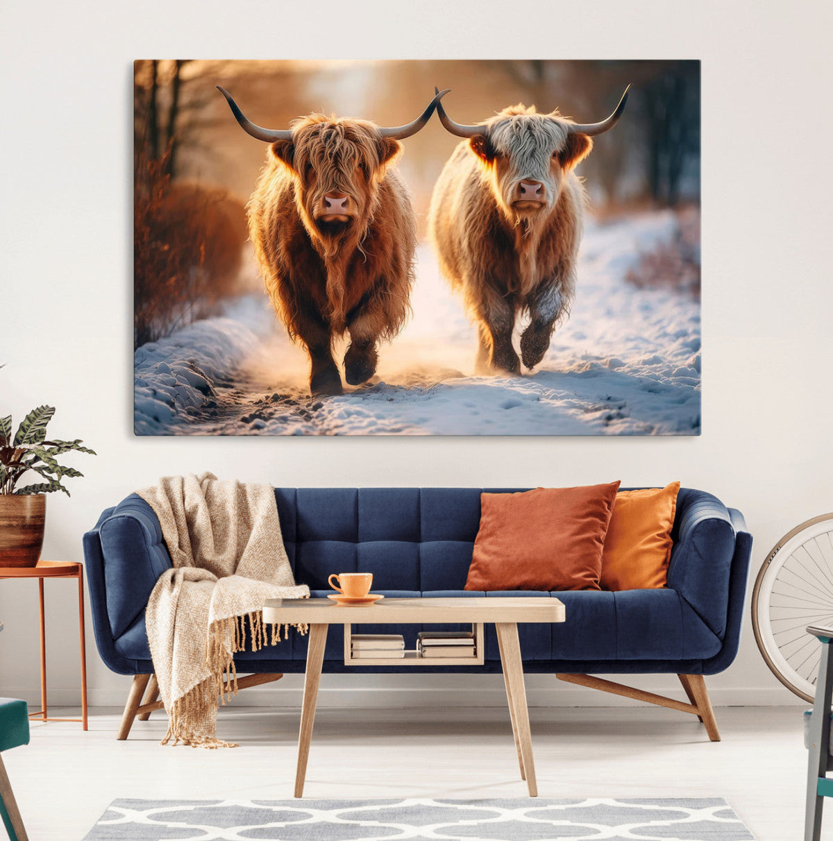 Scottish Highland Cow Horn Farm Wall Art Canvas Print