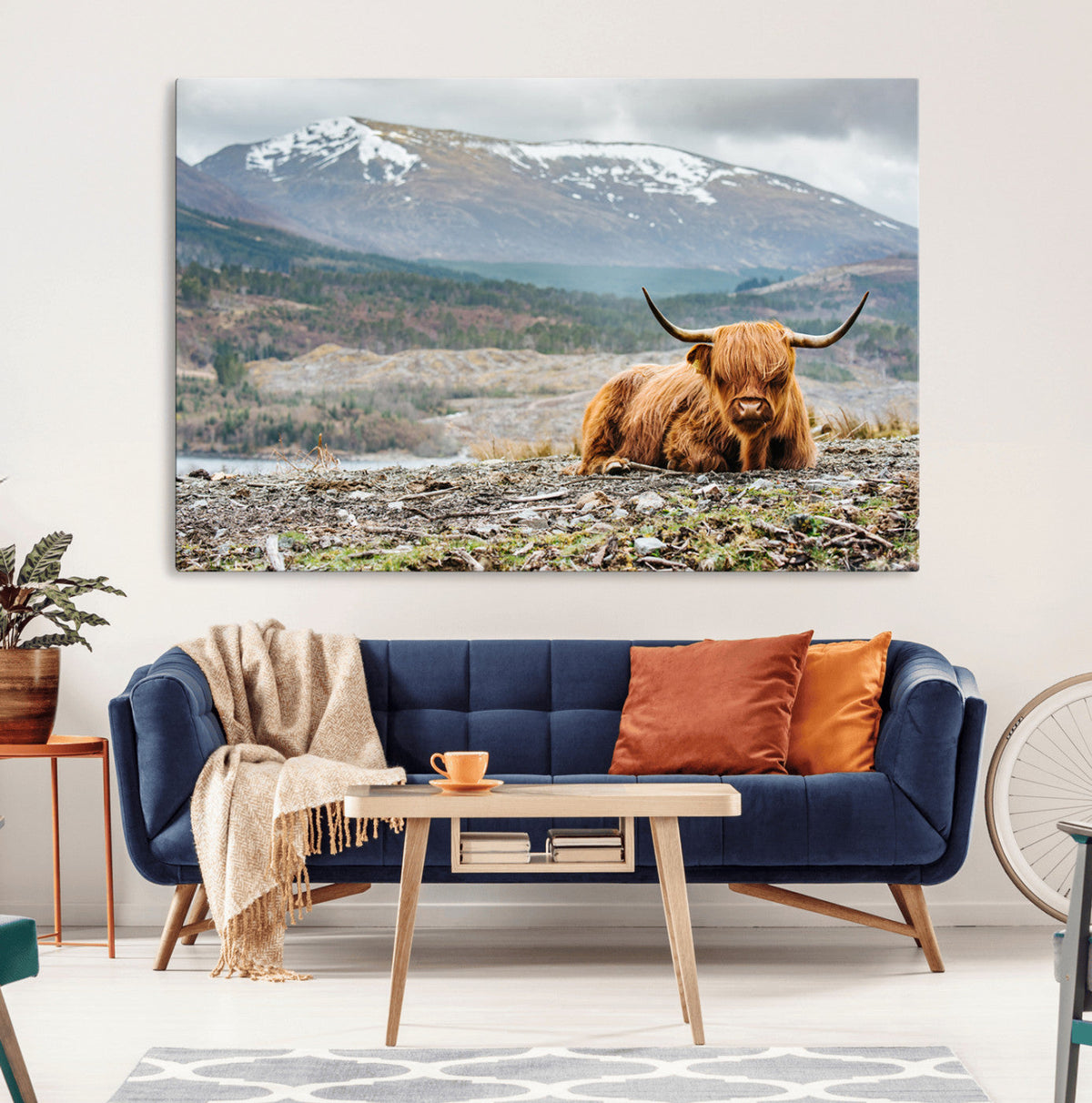 Highland Cow Horn Farm Wall Art Canvas Print