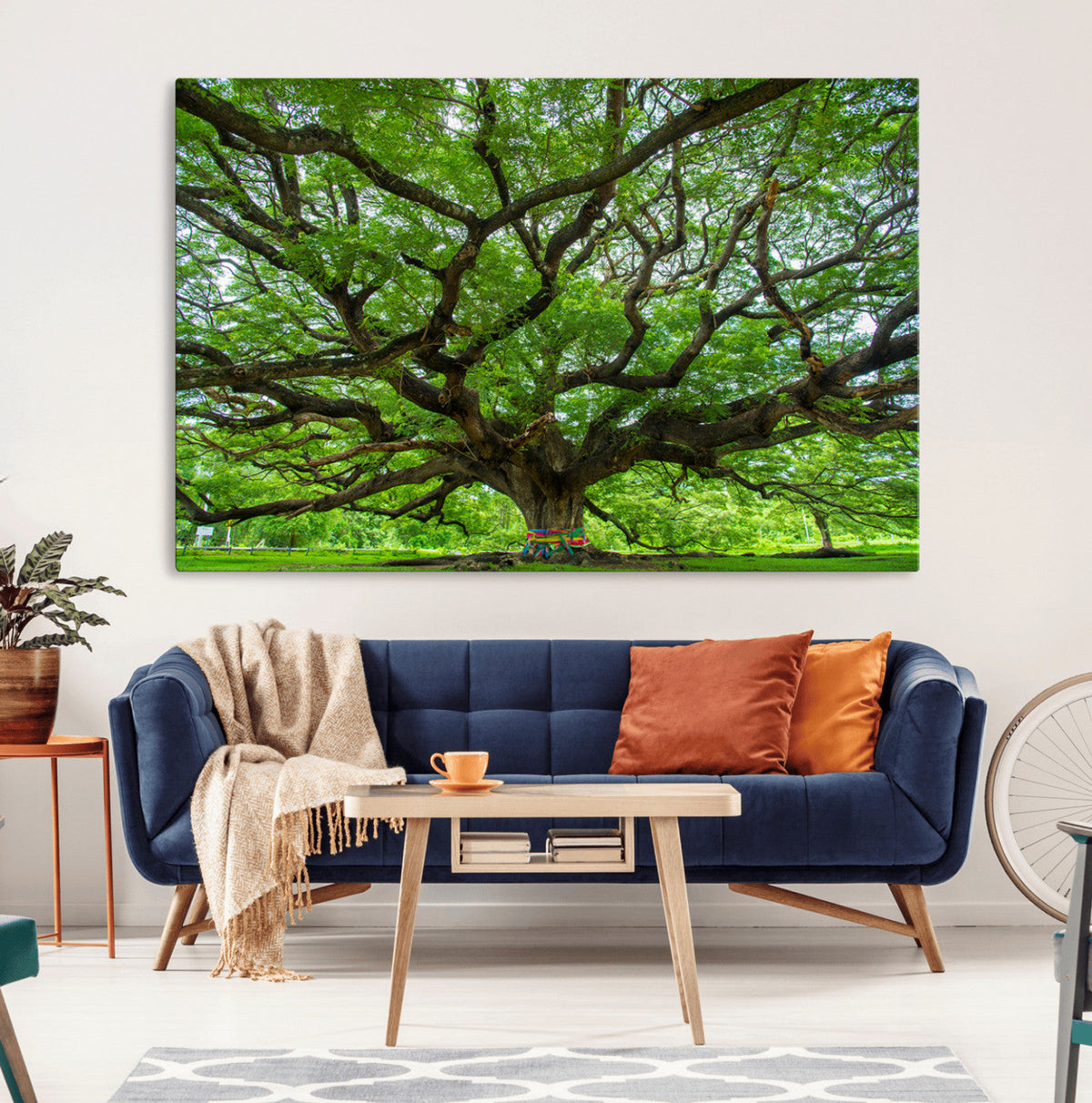 Angel Oak Tree Wall Art Canvas Print – Framed Majestic