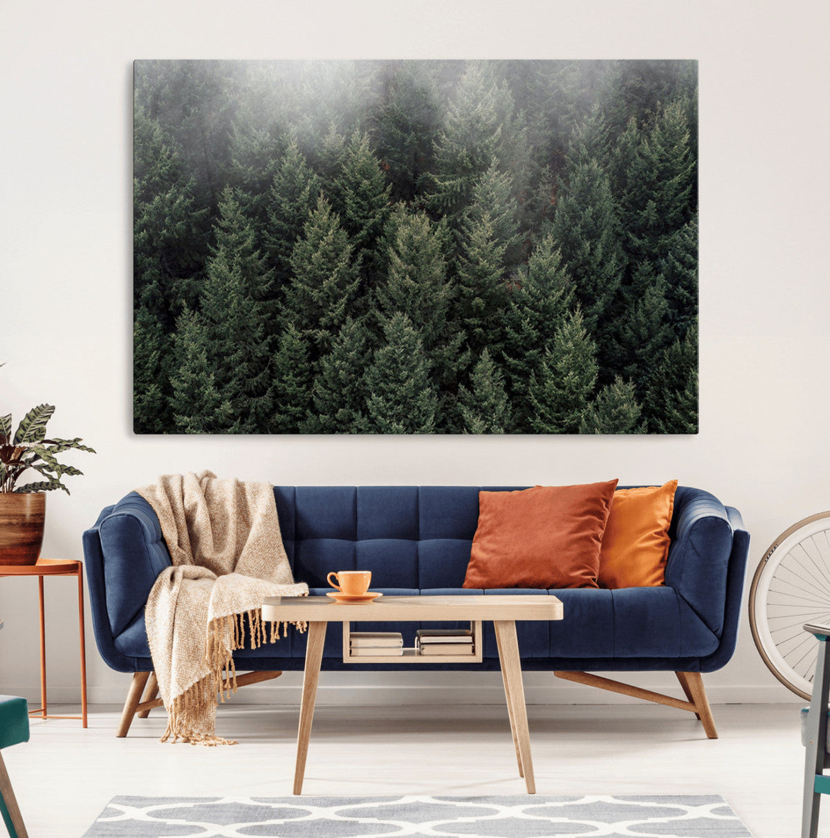 Dense Evergreen Forest Misty Morning Fog Pine Trees Woodland