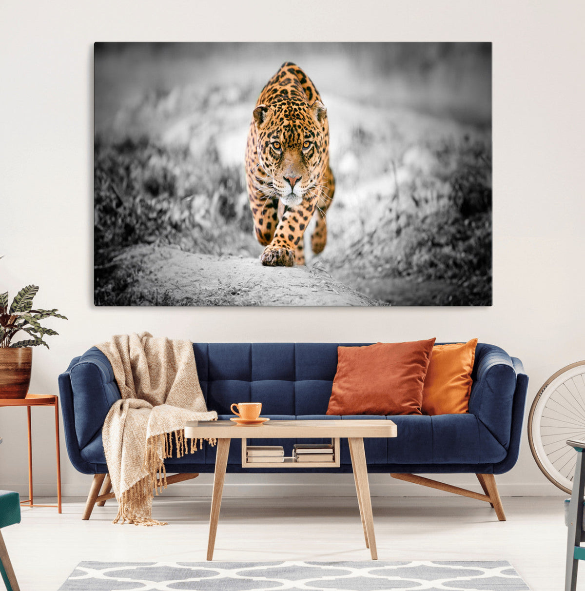 Jaguar Wall Art Canvas Print - Majestic Big Cat in Focused