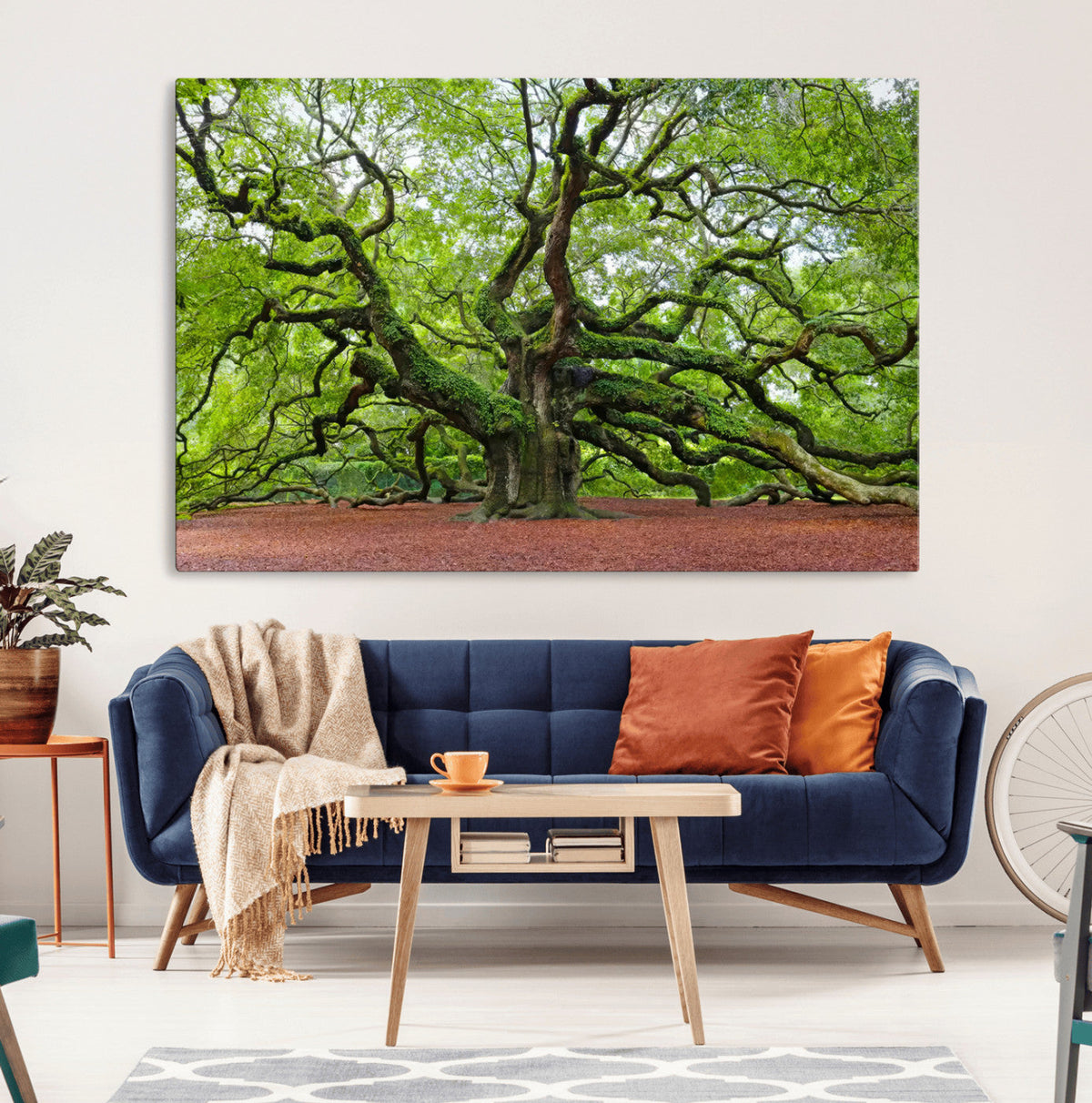 Framed Angel Oak Tree Wall Art - 3-Panel Canvas Prints,