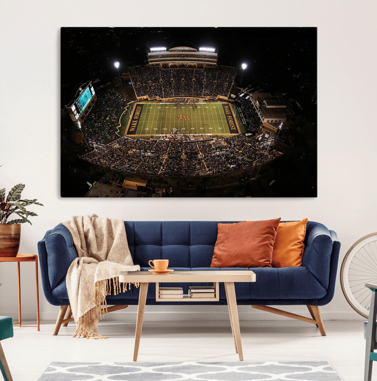 Wake Forest University Demon Deacons Canvas Printi, Football