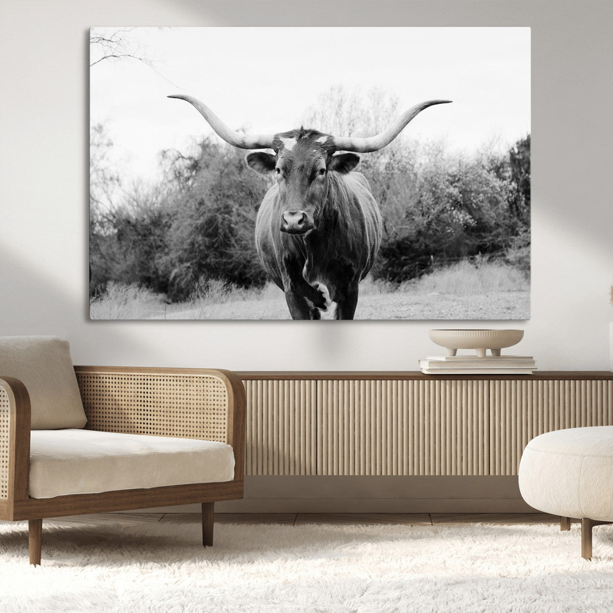 Longhorn Photography Wall Art Canvas Print – Framed Western