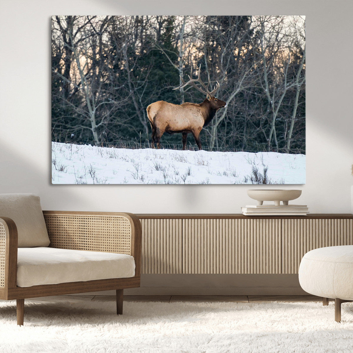 Wild Elk Wall Art Canvas Print – Framed Winter Wildlife