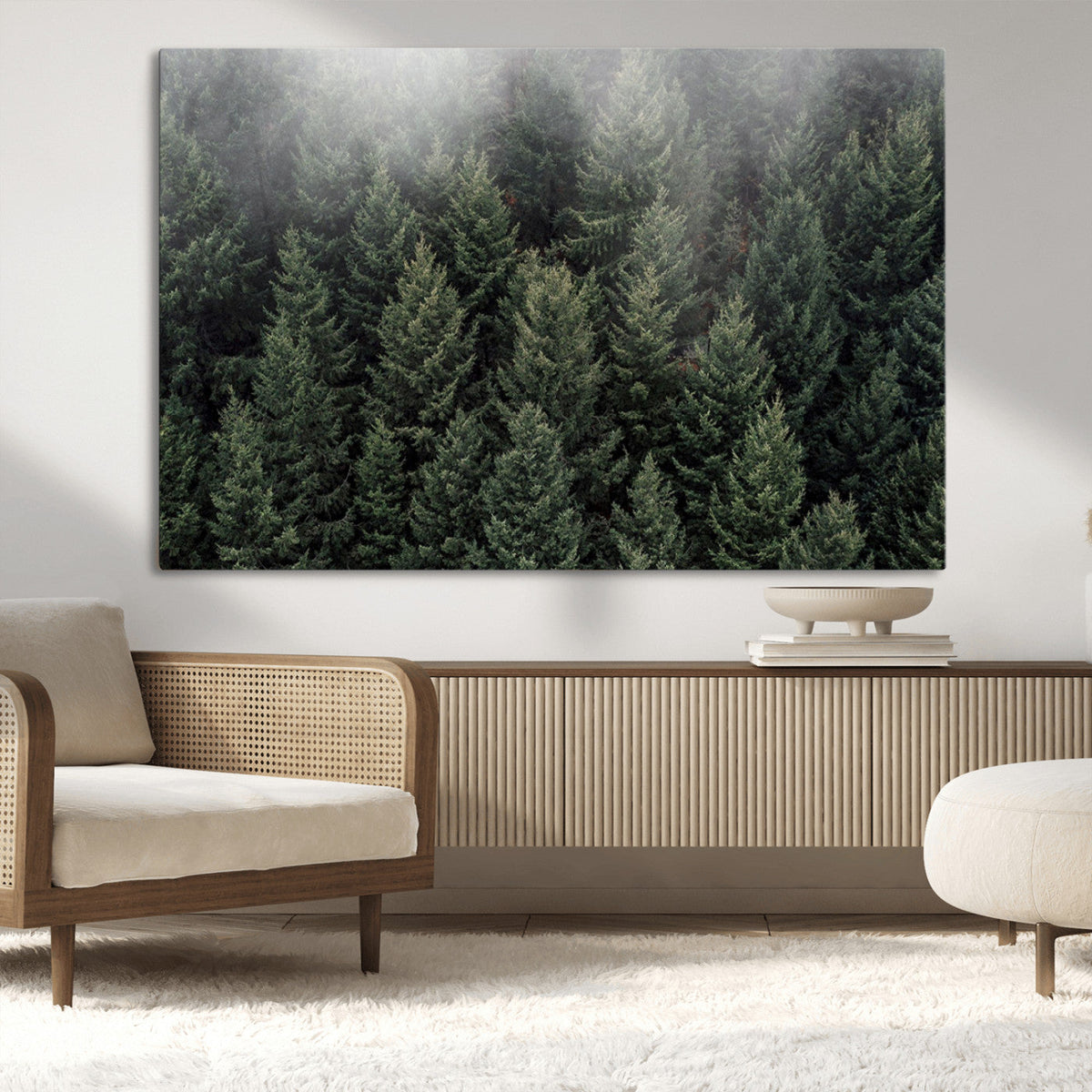 Dense Evergreen Forest Misty Morning Fog Pine Trees Woodland