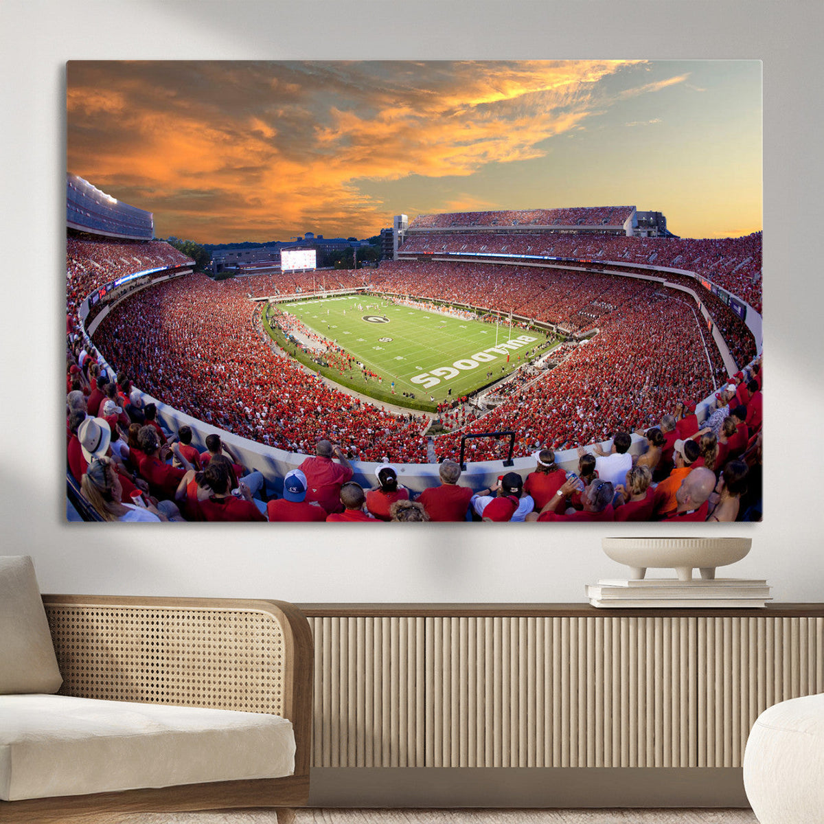 Dooley Stadium Wall Art, Sports Arena Canvas Print, Dooley