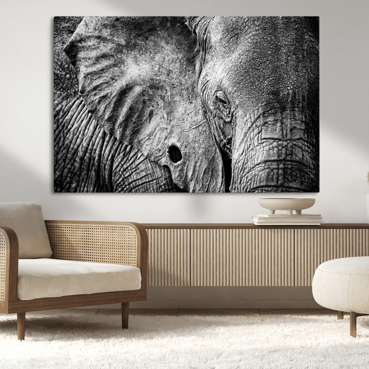 Wild Old Elephant Wall Art Canvas Print