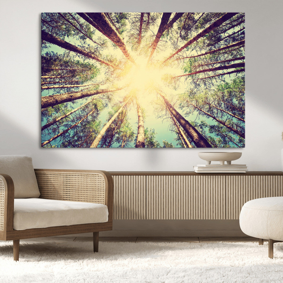 Tree and Sunshine Canvas Print
