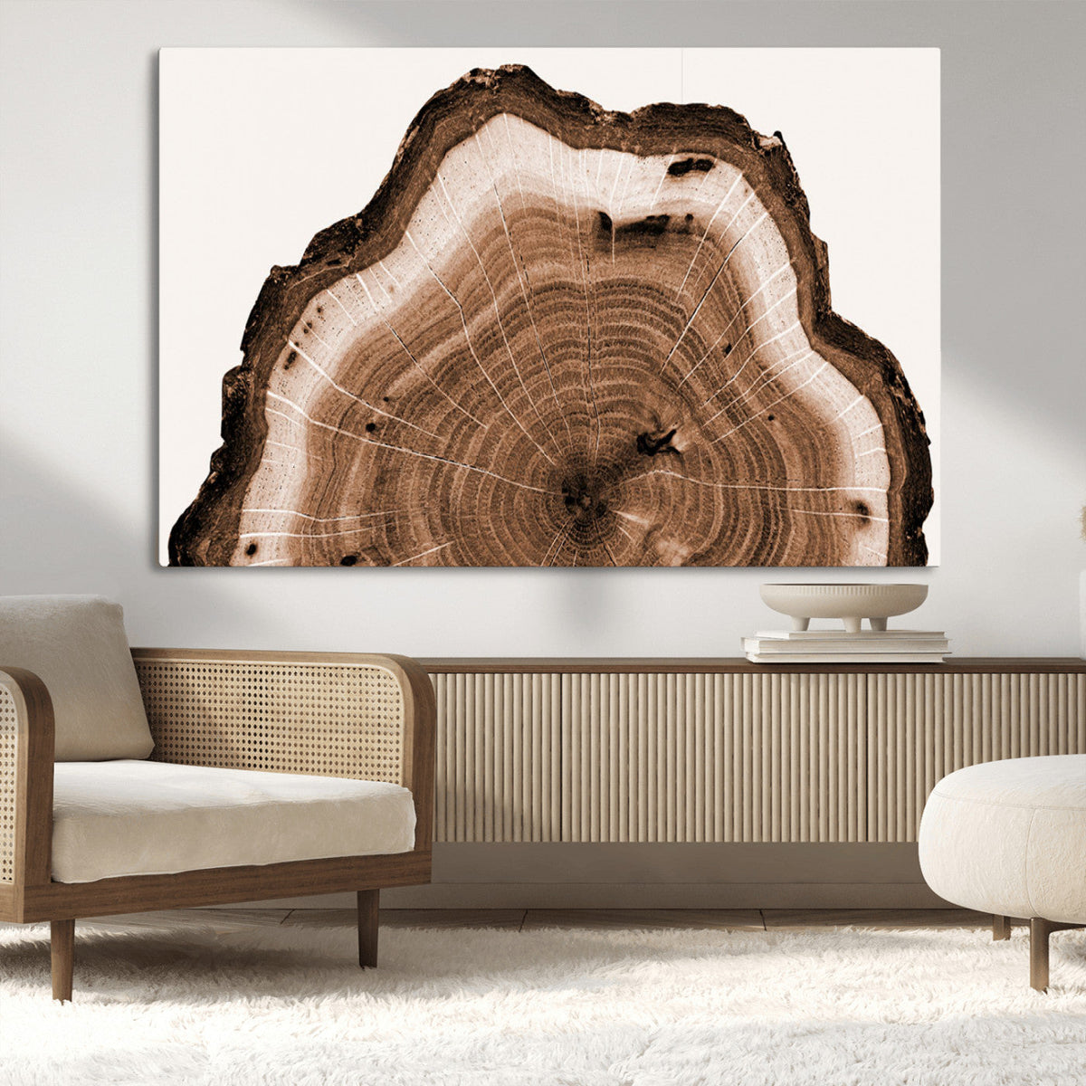 Rustic Wood Rings Wall Art | Nature-Inspired Tree Ring
