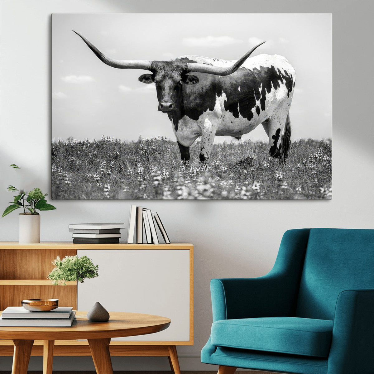 Texas Black White Highland Longhorn Cow Wall Art Canvas