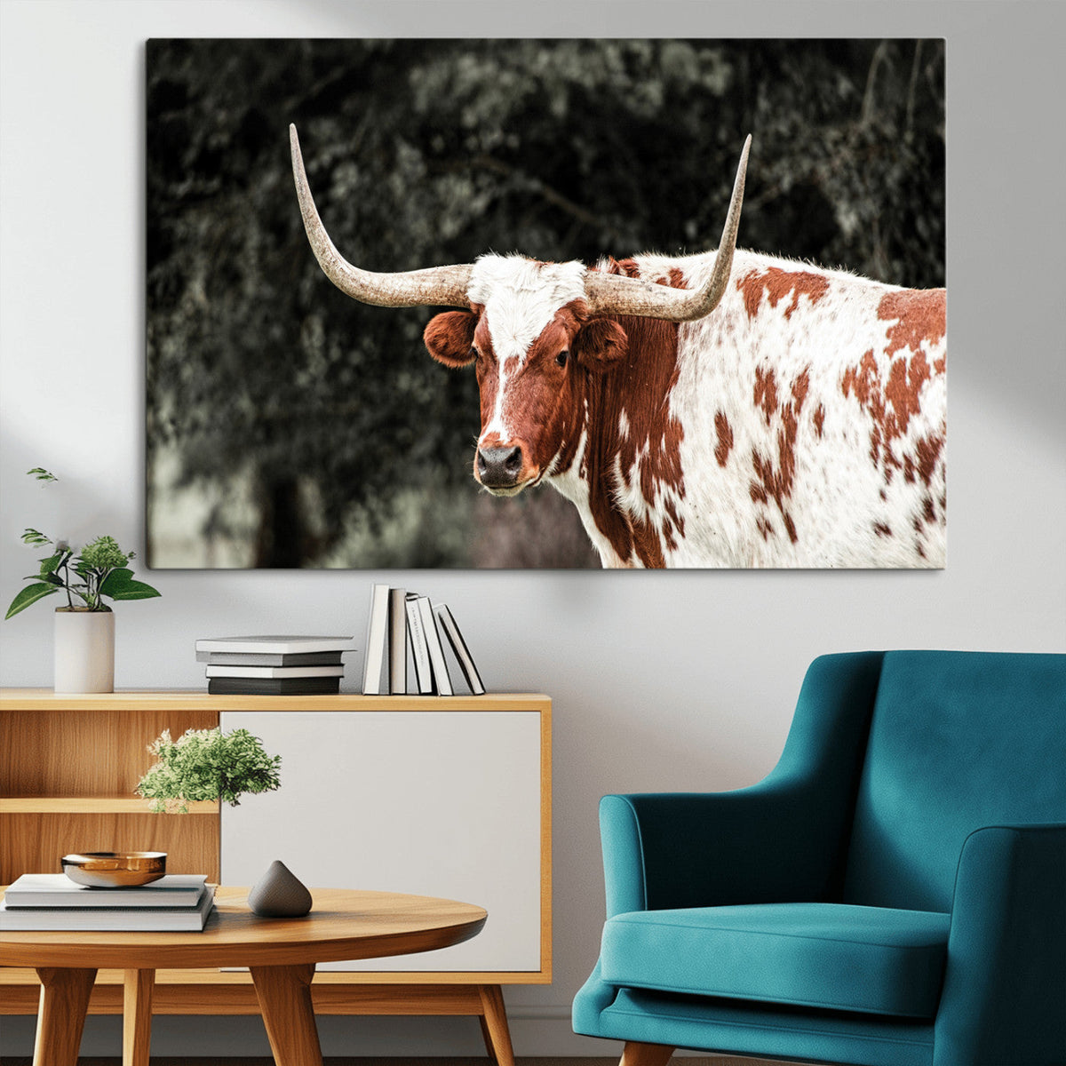 Texas Longhorn Wall Art Canvas Print – Framed Spotted Bull