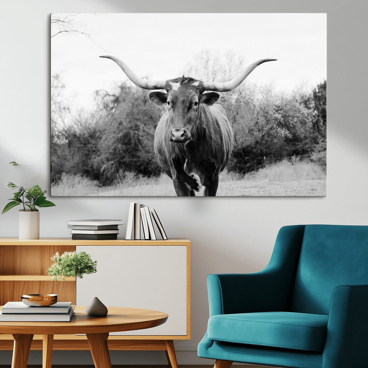 Longhorn Photography Wall Art Canvas Print – Framed Western