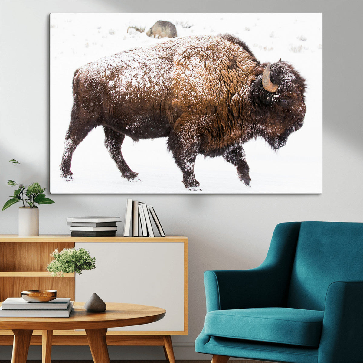 Snowy Buffalo Wall Art Canvas Print – Framed Wildlife