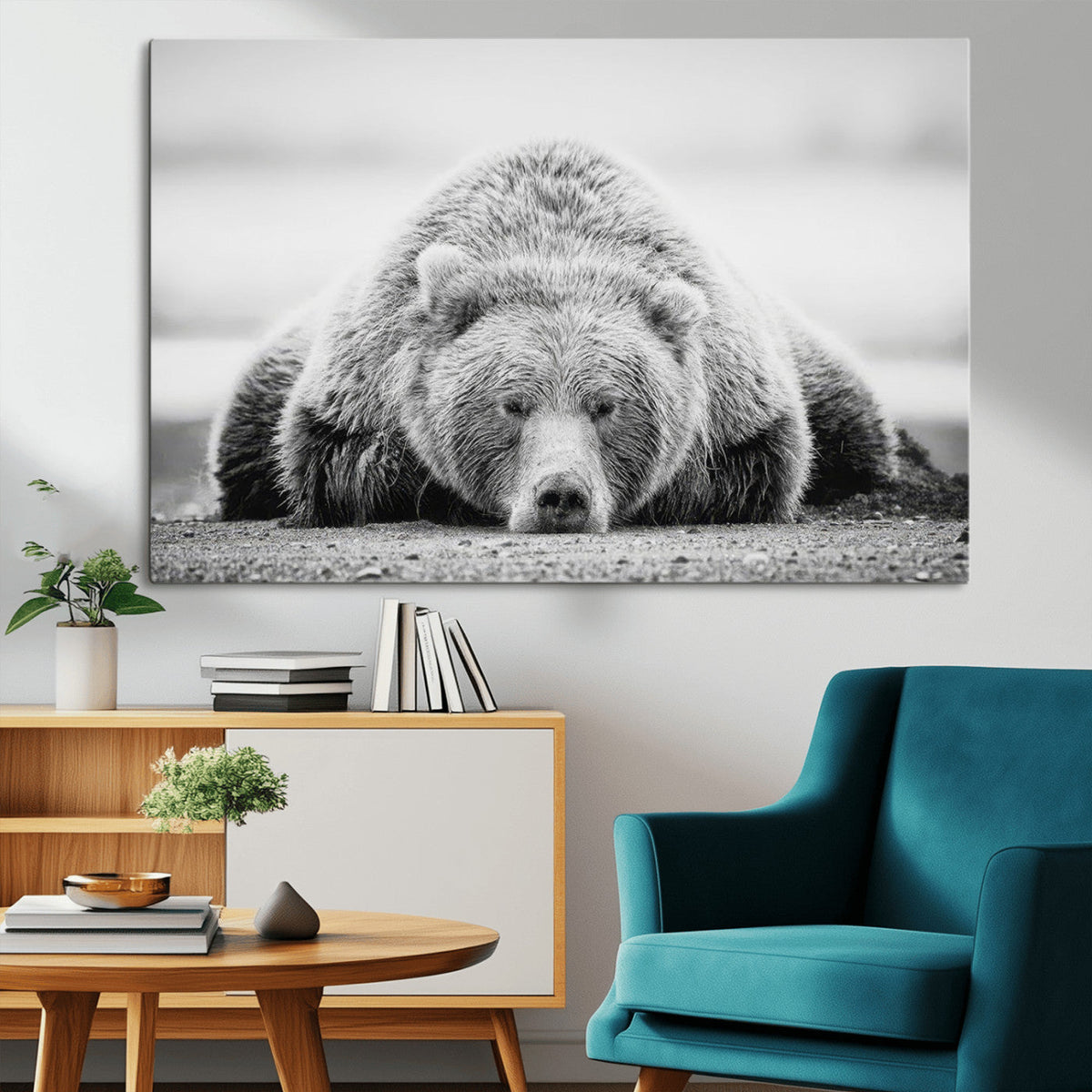 Resting Grizzly Bear Wall Art Canvas Print – Majestic Lazy