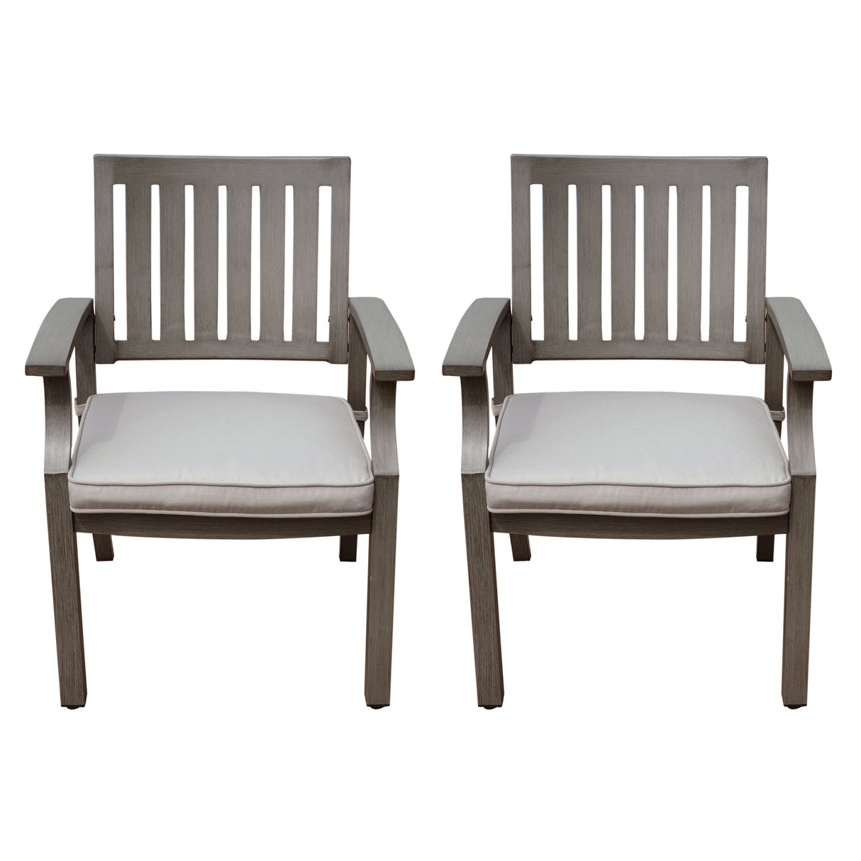 Outdoor Modern Aluminum Dining Chair with Cushion (Set of 2)