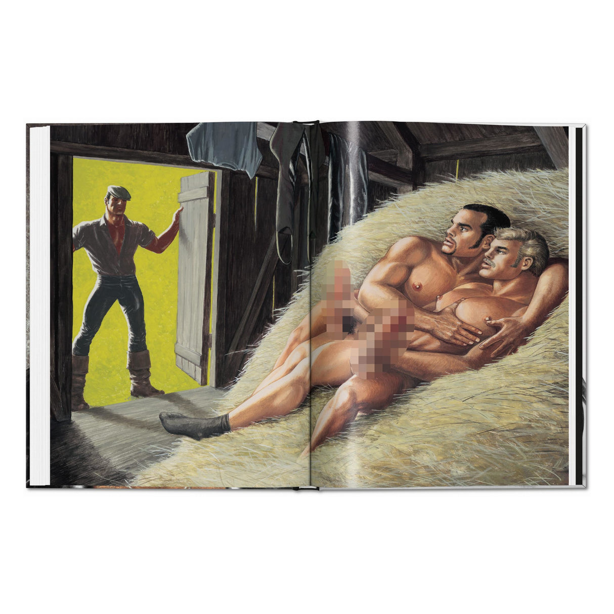The Little Book of Tom. Bikers (German, French, English)