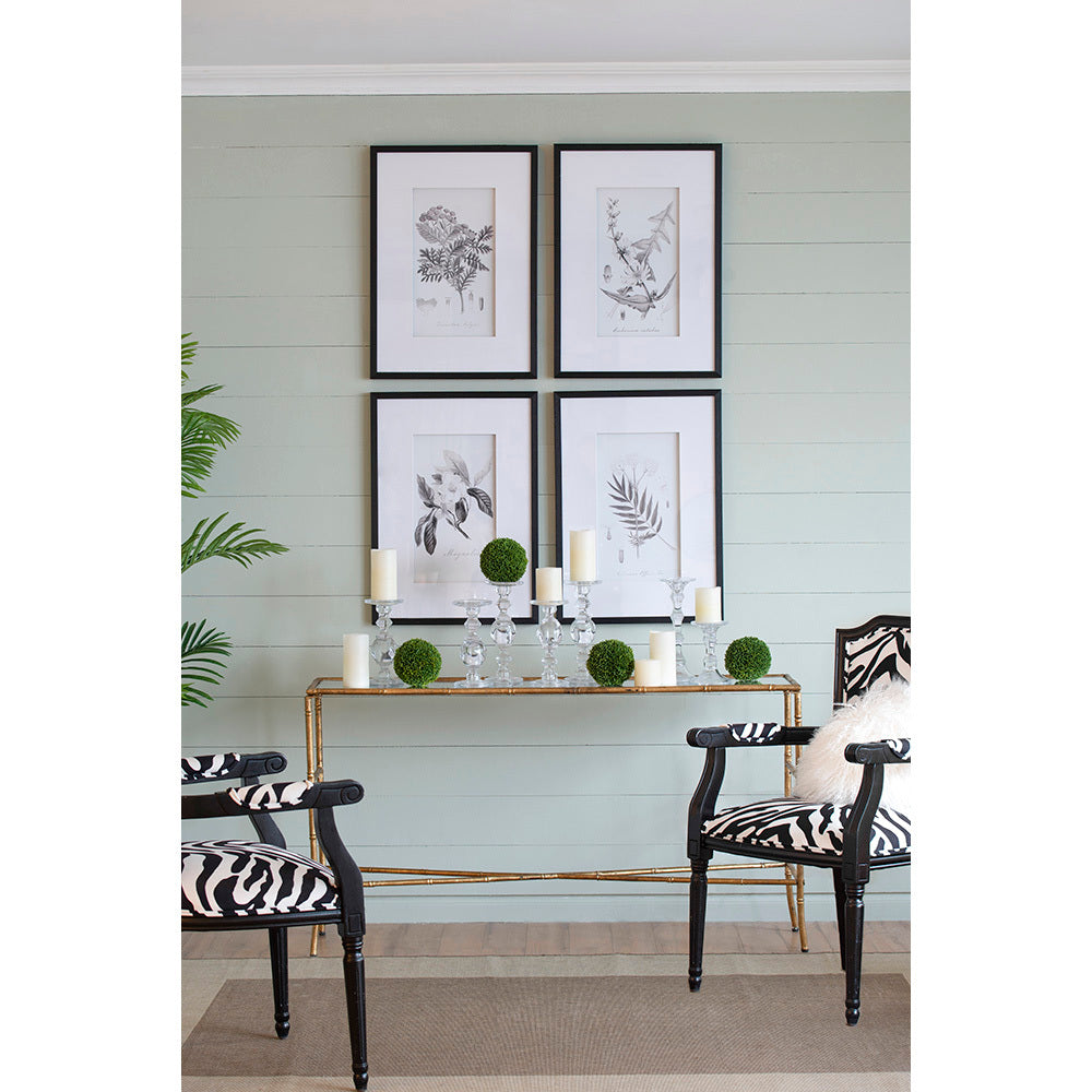 Verdura Botanica: Four-Print Houseplant Pencil Art Set
