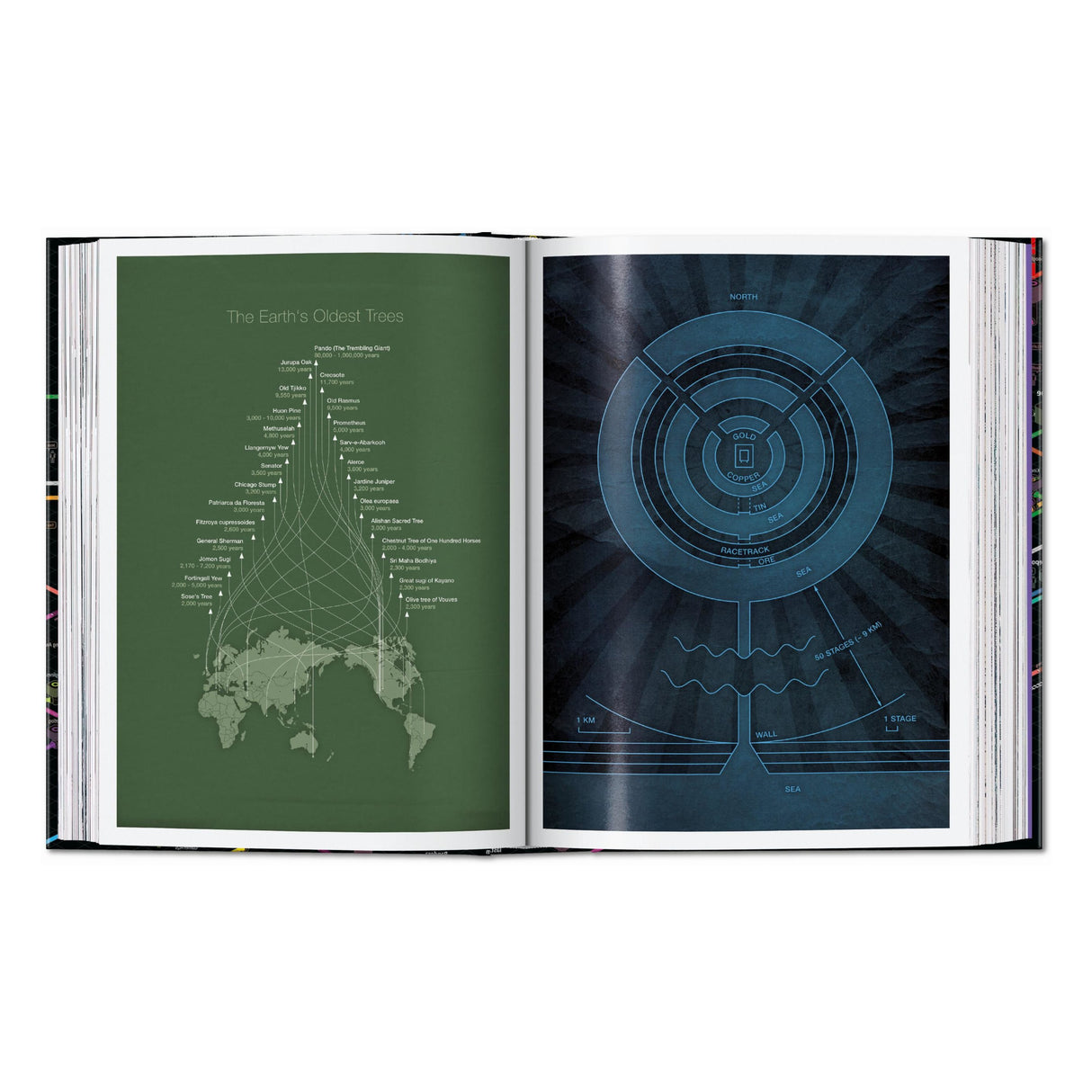 Information Graphics. 45th Ed. (English)