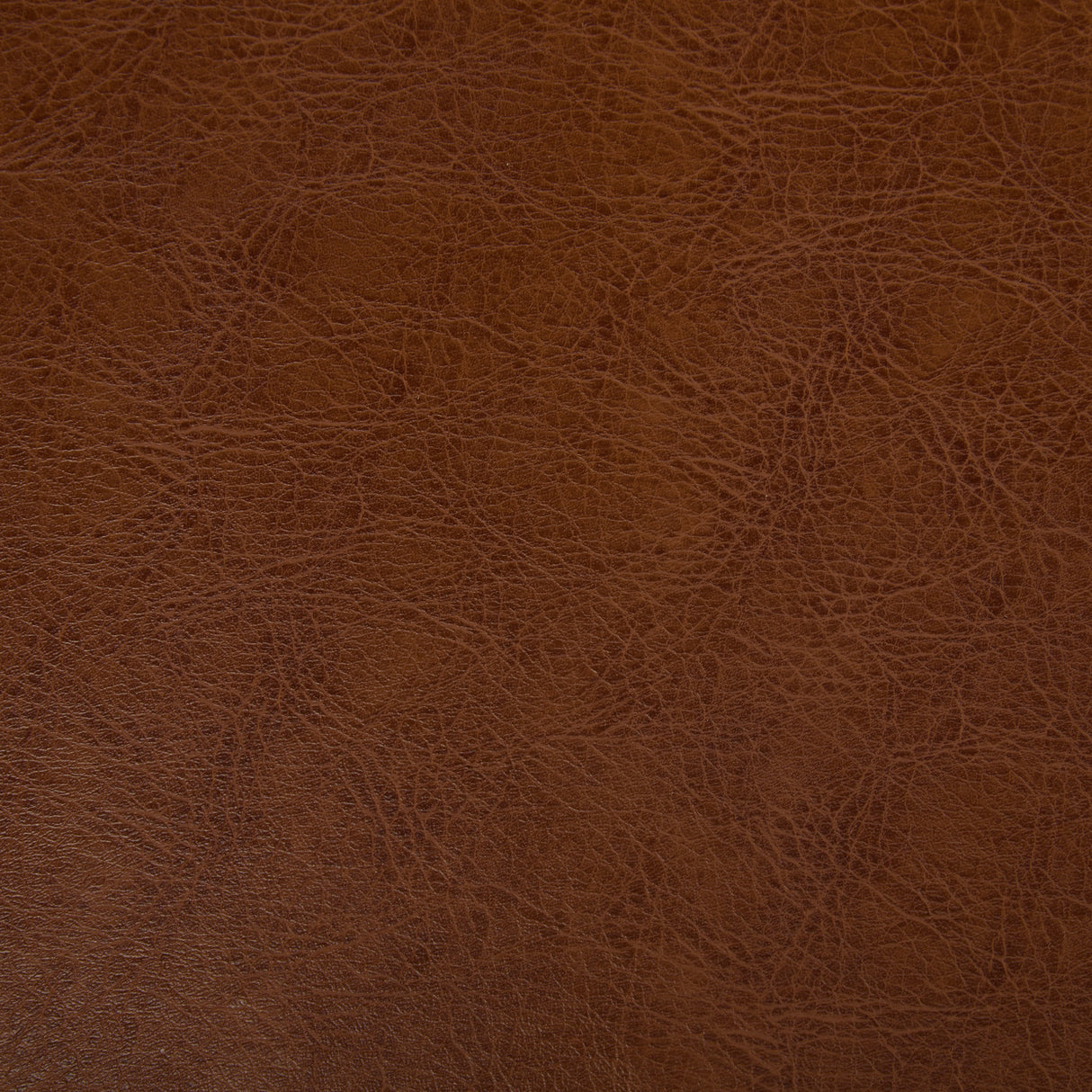 Fielding Mid-Century Modern Dining Chair, Set of 2