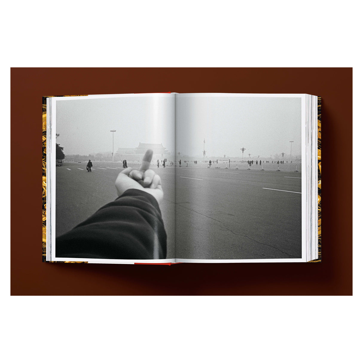 Ai Weiwei. Updated Edition (German, French, English)
