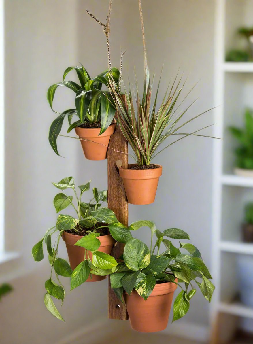 6-Pot-Hanging-Plant-Holder-3-piece-set-plant-holder